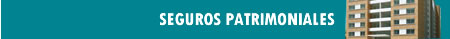 Seguros Patrimoniales